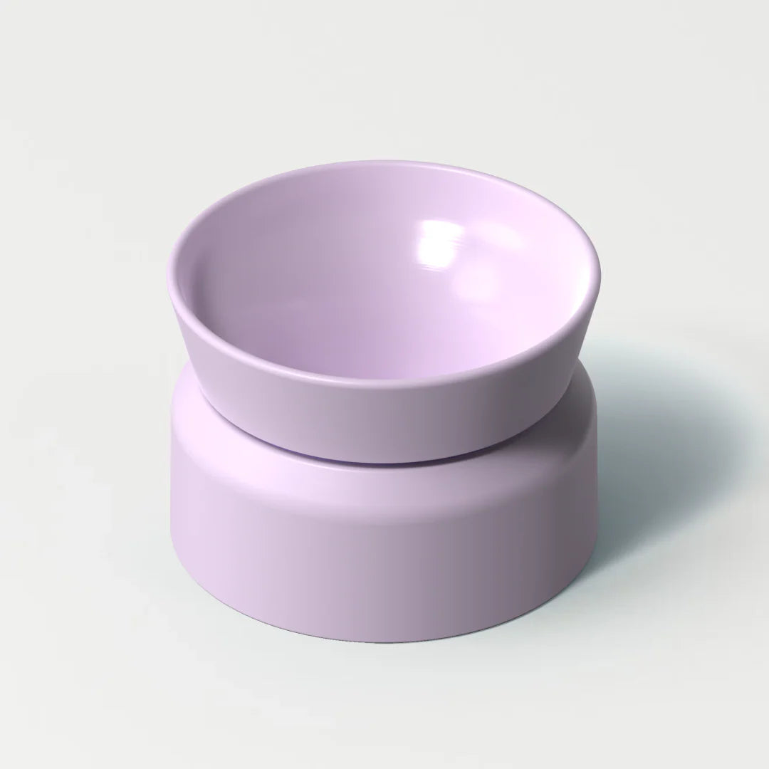 Brew Lid